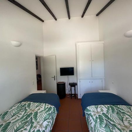 Casa Das Oliveiras Aviz Exteriör bild