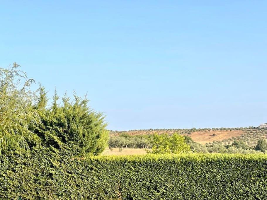 Casa Das Oliveiras Aviz Exteriör bild