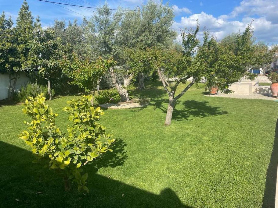 Casa Das Oliveiras Aviz Exteriör bild