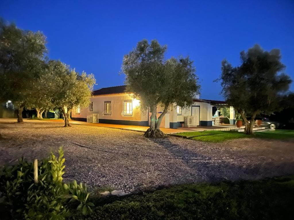 Casa Das Oliveiras Aviz Exteriör bild