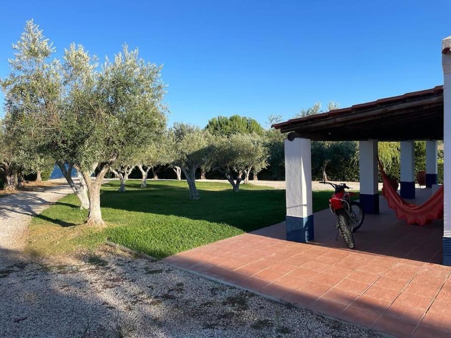 Casa Das Oliveiras Aviz Exteriör bild