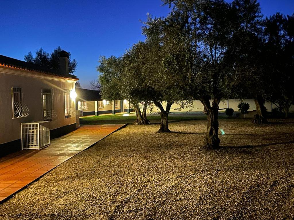 Casa Das Oliveiras Aviz Exteriör bild