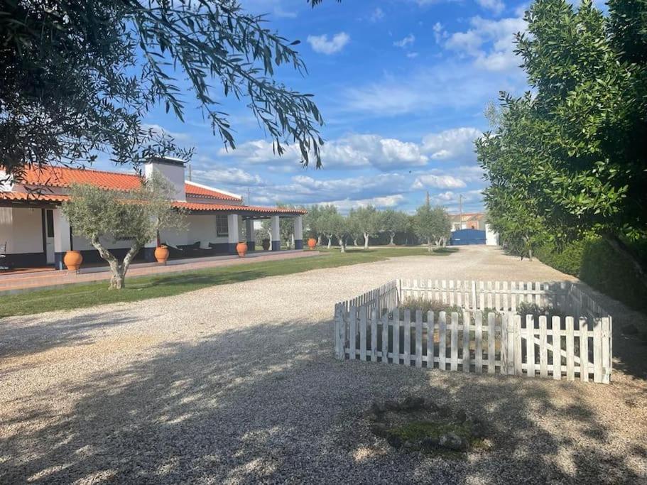 Casa Das Oliveiras Aviz Exteriör bild