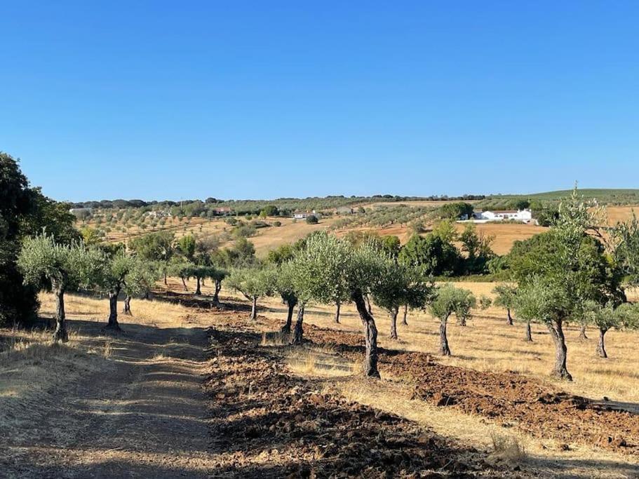 Casa Das Oliveiras Aviz Exteriör bild